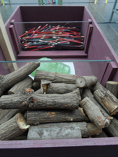 memoria 75 - Tree branches and pencils