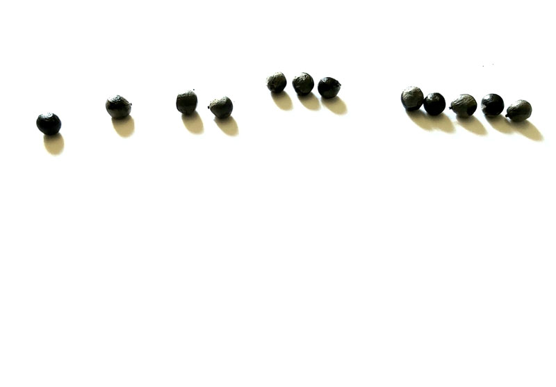 Fibonacci in trance / Fibonacci en trance