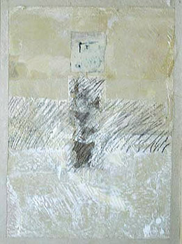 Enclosure, mist / Espace clos, brume*