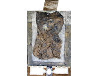 Ols skin / Vieille peau