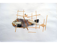 Fish feast / Festin de poisson