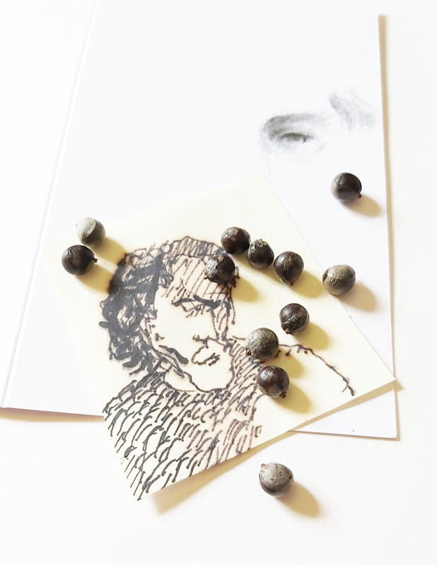 Alienation in homeland / Aliénation d'un résident..