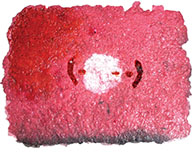 Illogical logic / Logique illogique