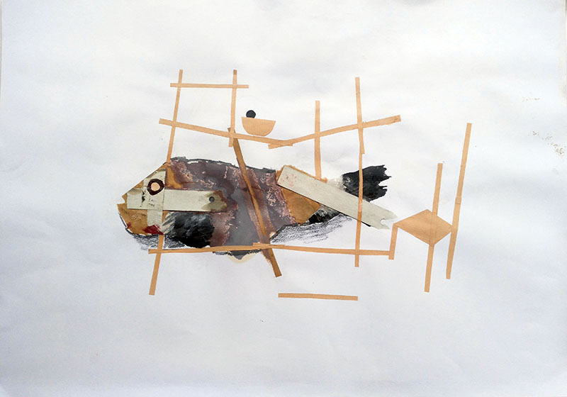 Fish feast / Festin de poisson