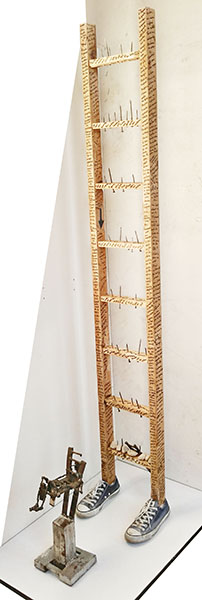 The Janus scale / L'échelle de Janus