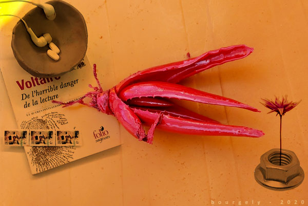 H18:37:14  CORONA VOLTAIRE EFFECT / ALOE RUBRUM hiding from ALOE VERA