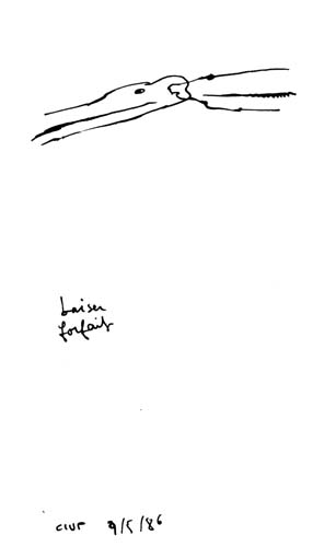 from apr 1986 to may 1986