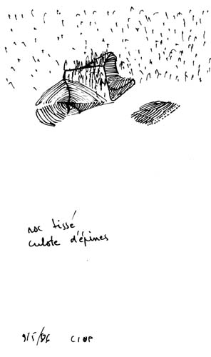 from apr 1986 to may 1986