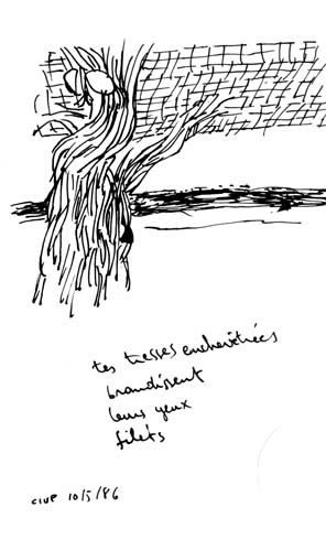 from apr 1986 to may 1986