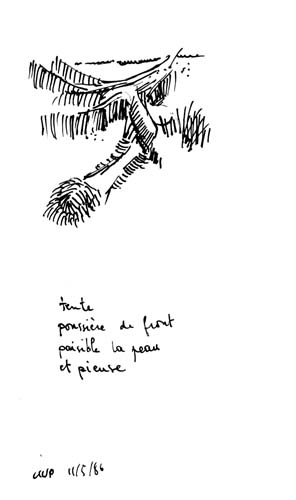 from apr 1986 to may 1986