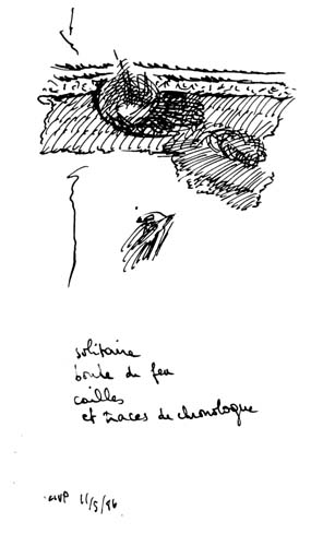 from apr 1986 to may 1986