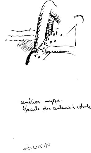 from apr 1986 to may 1986