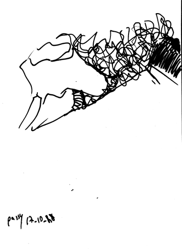 from sep 1988 to mar 1989