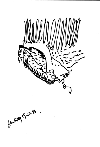 from sep 1988 to mar 1989